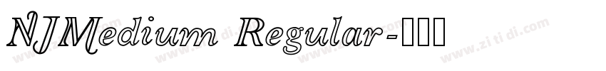 NJMedium Regular字体转换